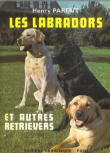 les-labradors.jpeg